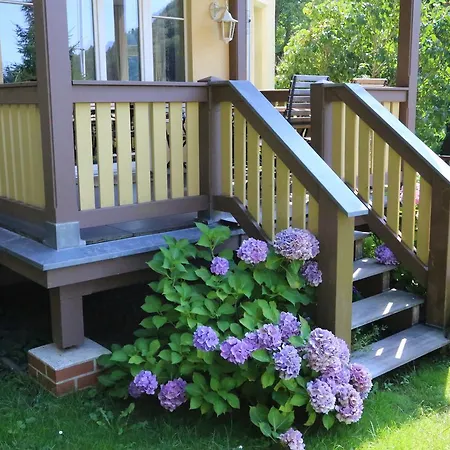 Apartment Haus Hohlfeld Bad Schandau